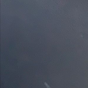 Meet your Posher, Damian